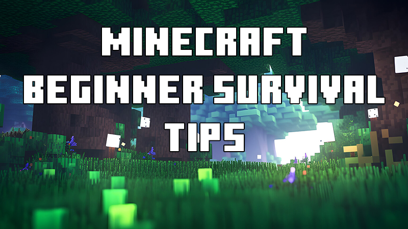 Minecraft Beginner Survival Tips